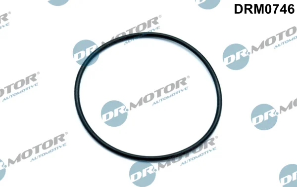 Tesnici krouzek Dr.Motor Automotive DRM0746 – OE 06D145117 Tesnici krouzek Dr.Motor Automotive DRM0746 – OE 06D145117
