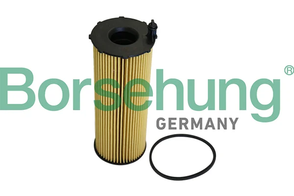 Olejový filtr Borsehung B10547