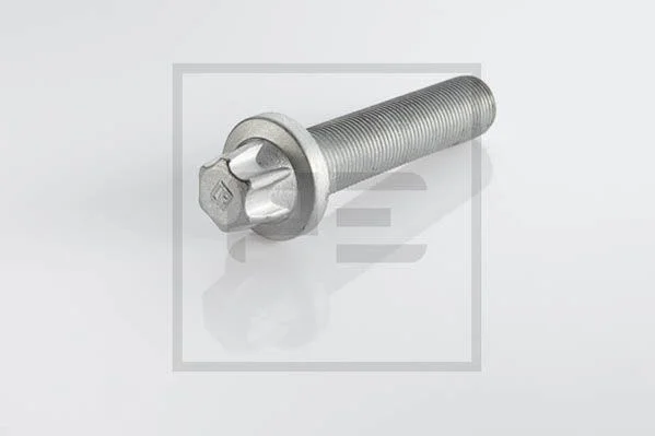 Sroub, brzdovy kotouc PE Automotive 326.001-00A