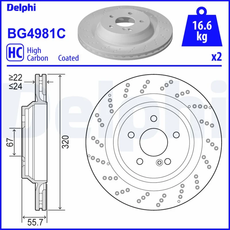 Brzdový kotouč DELPHI BG4981C