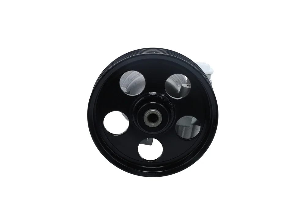 Hydraulické čerpadlo, řízení BOSCH KS02000031 – OE 491103569R
