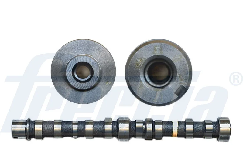Vačkový hřídel FRECCIA CM05-2229 – OE 55206898