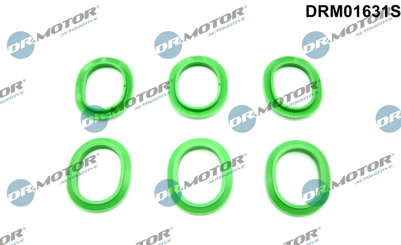Sada těsnění, koleno sacího potrubí Dr.Motor Automotive DRM01631S