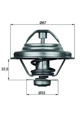 Termostat, chladivo MAHLE TX2487D