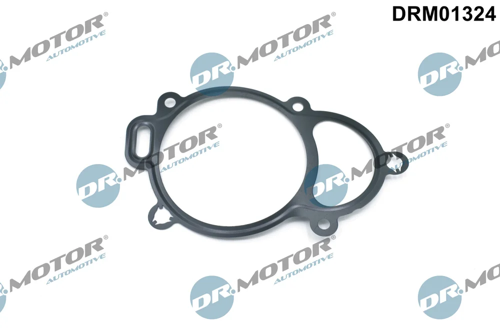 Těsnění, seřízení vačkového hřídele Dr.Motor Automotive DRM01324 Těsnění, seřízení vačkového hřídele Dr.Motor Automotive DRM01324