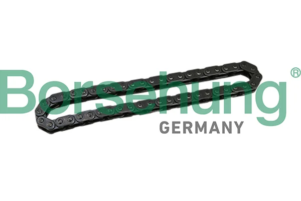 Rozvodový řetěz Borsehung B1C028 – OE 11417797896