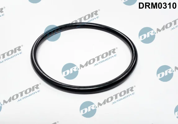 Těsnění, hrdlo škrtící klapky Dr.Motor Automotive DRM0310 Těsnění, hrdlo škrtící klapky Dr.Motor Automotive DRM0310