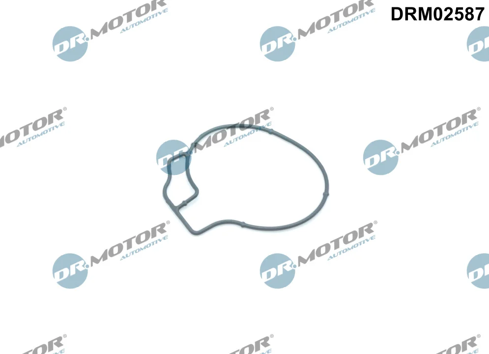 Těsnění, vakuové čerpadlo Dr.Motor Automotive DRM02587
